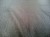 129651927_408880047126759_495893822820029786_n.jpg